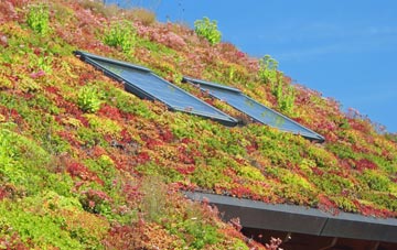 Briningham living roof systems
